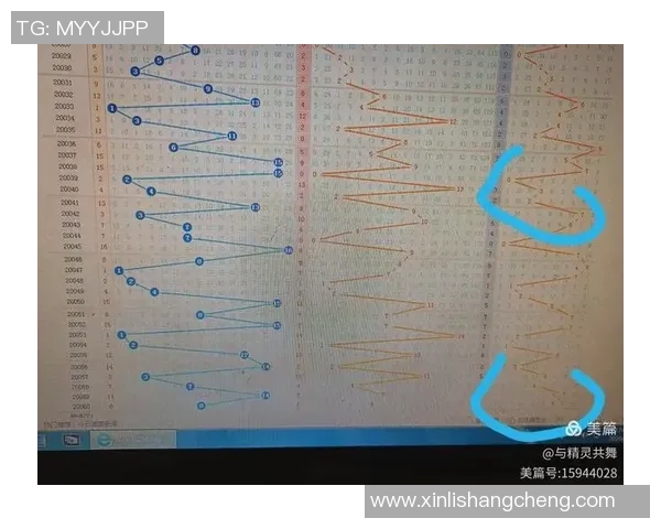 双色球两个篮球的奇妙组合与中奖秘诀揭秘